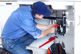 Best Trenchless Pipe Repair  in Darrington, WA